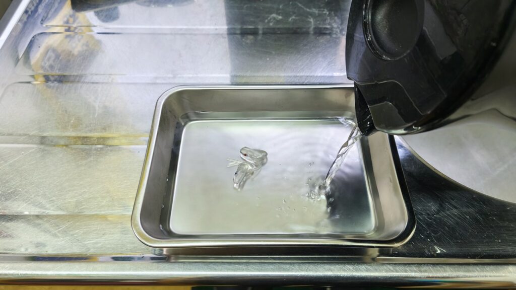 バットに入れたイヤモールドにぬるま湯を注ぐ様子