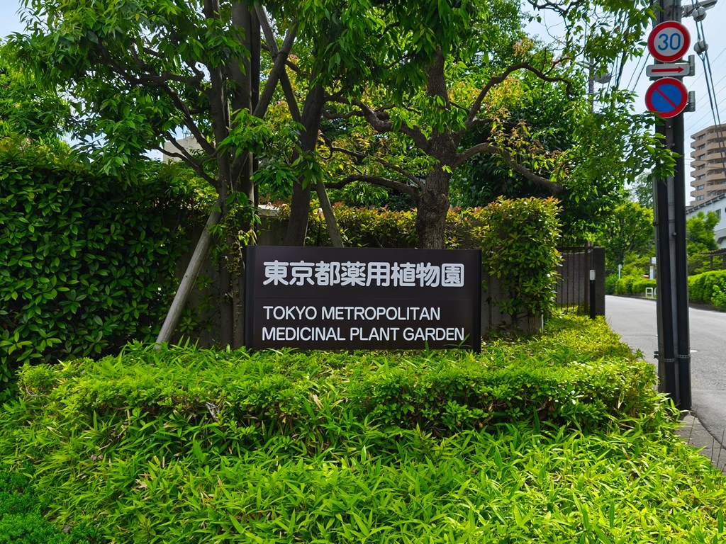 東大和市駅前の東京都薬用植物園